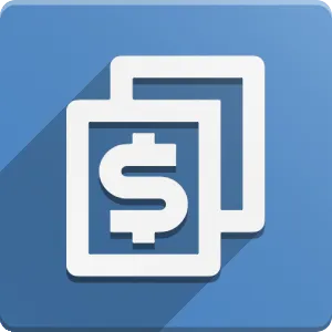 Dual Currency Accounting